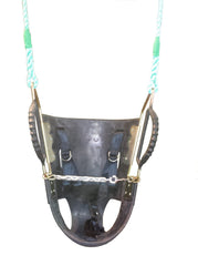 Infant Disabled High Back Swing