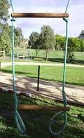 Double Trapeze Bar & Rings